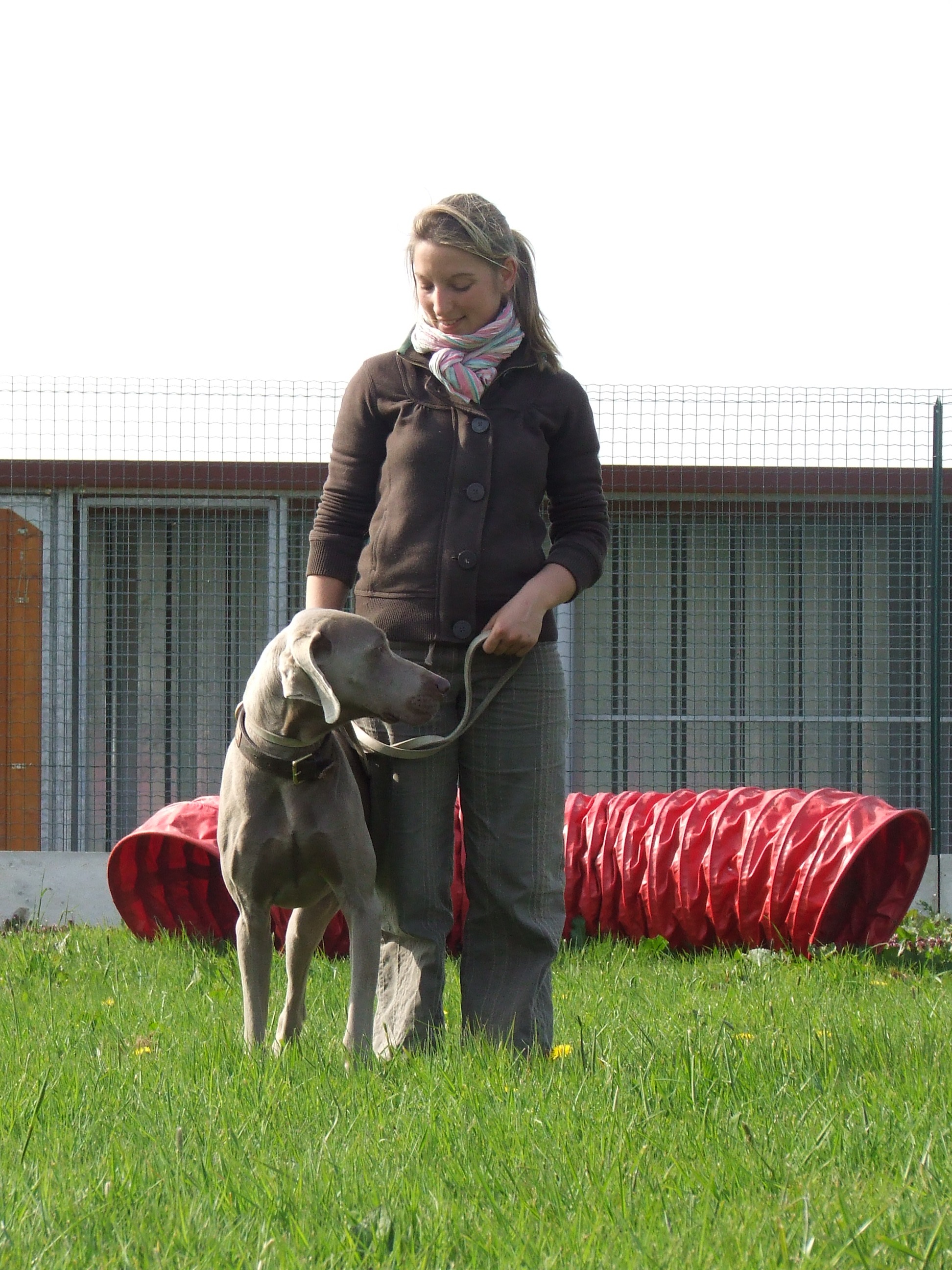 Pension Chiens Pension du Val de Cassel